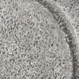 ##Antique Hardware## Wrought Steel Paper Holder Bar Style (Several Finishes Available)