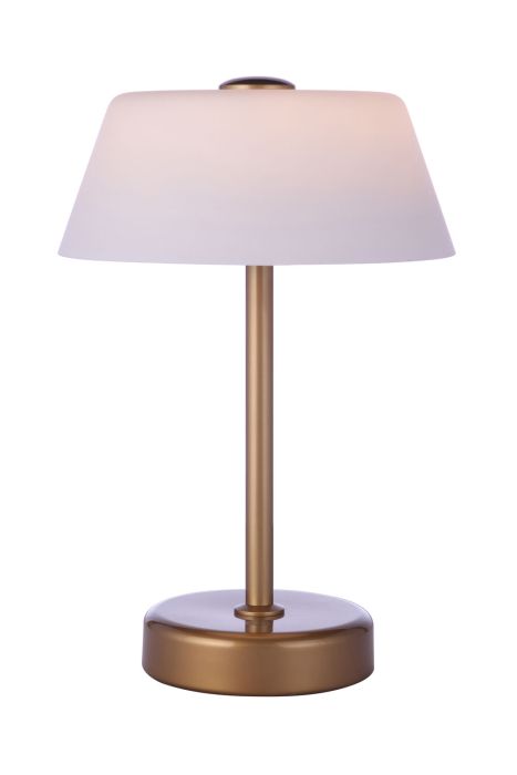 ##Antique Hardware## Outdoor Rechargeable Dimmable LED Portable Lamp w/ USB port in Satin Brass