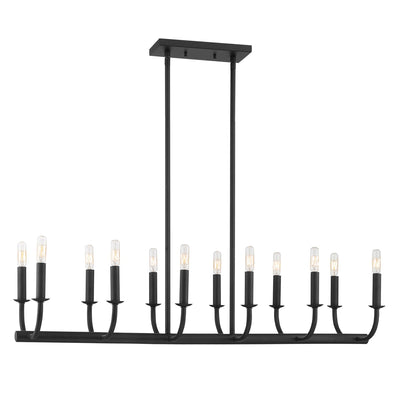 ##Antique Hardware## Bailey 12 Light Matte Black Chandelier