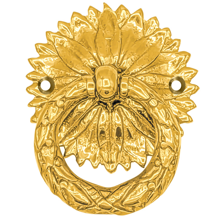 2 Inch Solid Brass Radiant Leaves Ring Pull (Several Finishes Available)