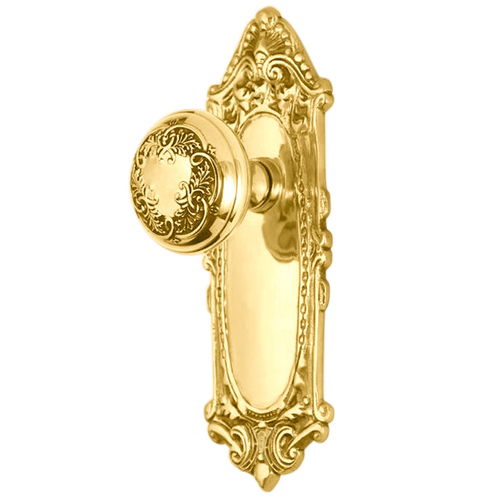 ##Antique Hardware## Ornate Victorian Long Backplate Door Set with Floral Leaf Door Knobs (Several Finishes Available)