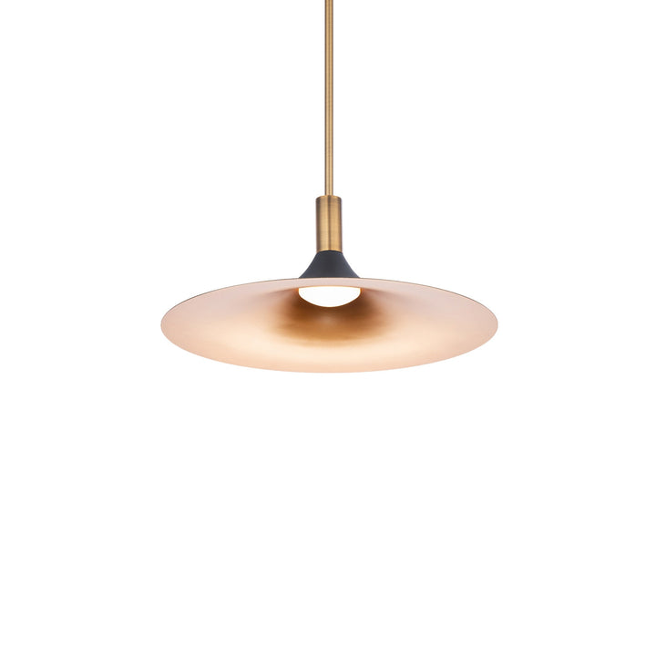 ##Antique Hardware## Cochere LED Pendant