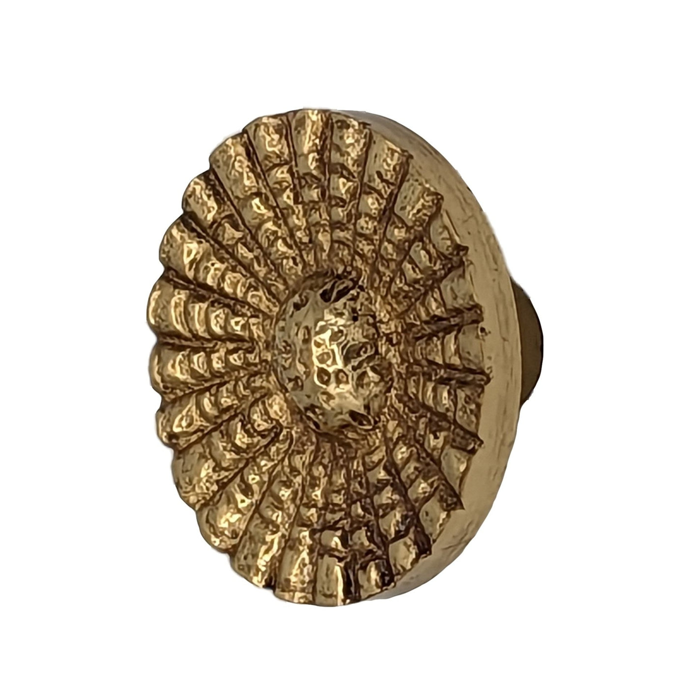 1 Inch Solid Brass Art Deco Style Round Cabinet and Furniture Knob