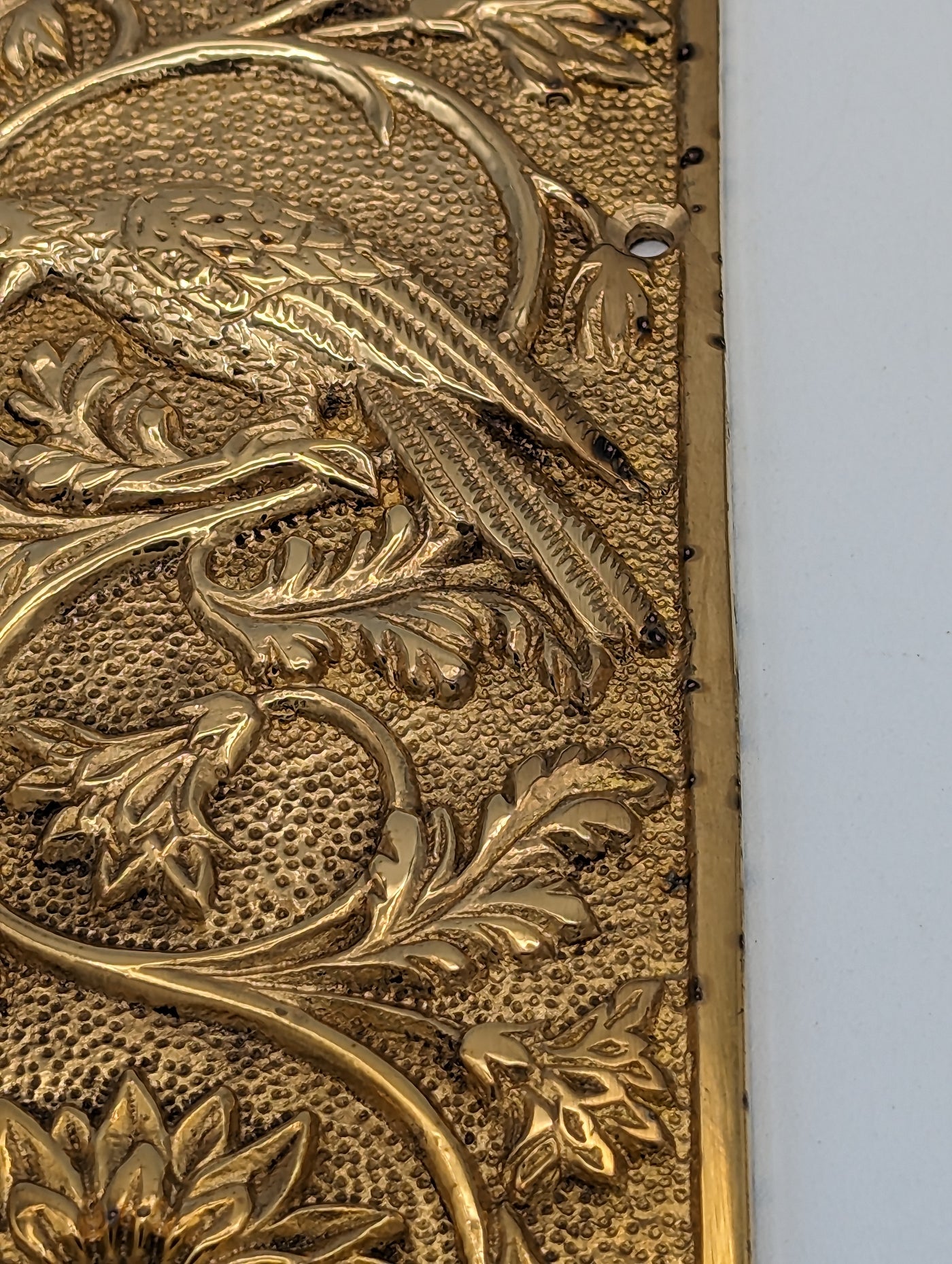 ##Antique Hardware## Open Box Sale Item 11 1/4 Inch Cockatiel Bird and Flower Push Plate (Polished Brass Finish)