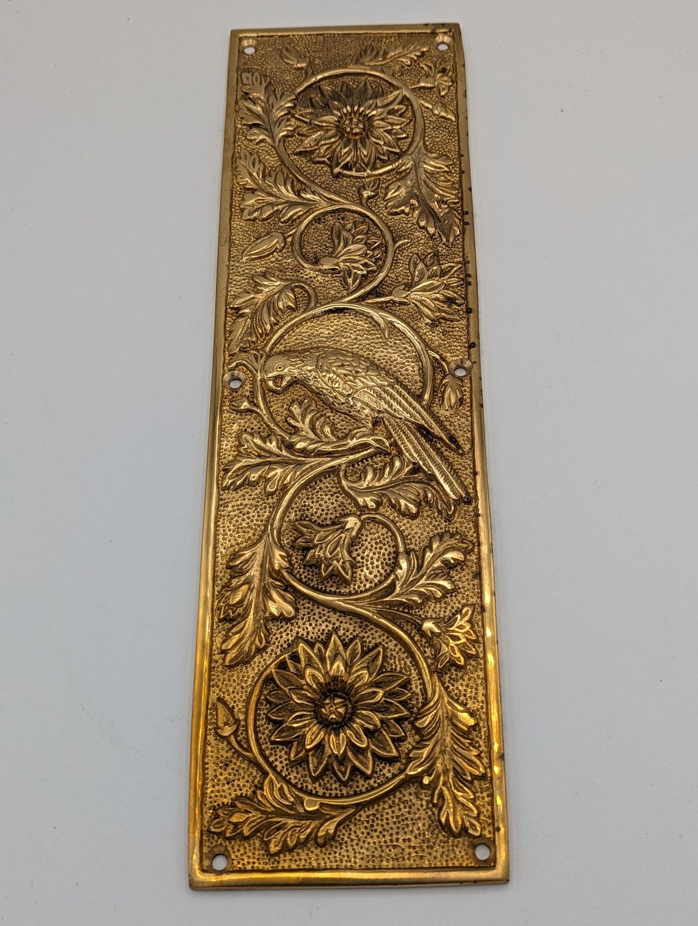 ##Antique Hardware## Open Box Sale Item 11 1/4 Inch Cockatiel Bird and Flower Push Plate (Polished Brass Finish)