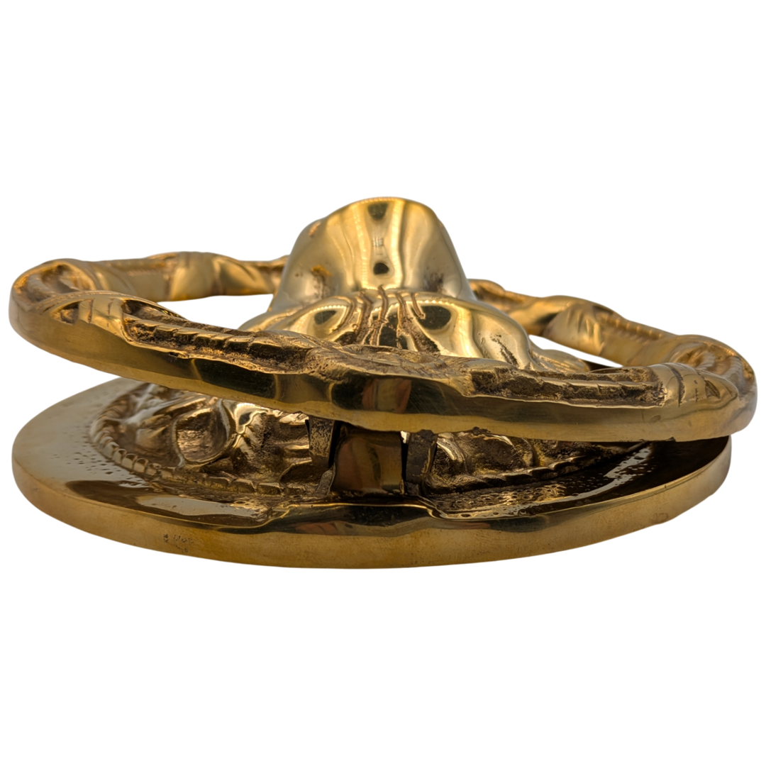 Ribbon & Reed 8 3/4 Inch Brass Lion Door Knocker (Polished Brass Finish)