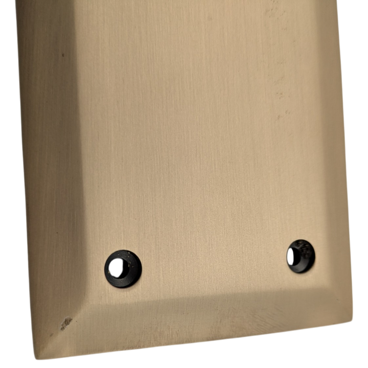 10 Inch Quaker Style Push Plate (Antique Brass Finish)
