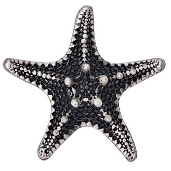 1 3/4 Inch  Ocean Seaside Nautical Solid Pewter Decorative Starfish Knob (Satin Pewter Finish)